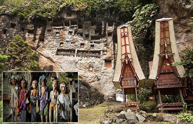 Toraja Tour visiting Lemo Stone Grave