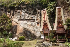 Lemo Stone Grave, Tana Toraja Tour